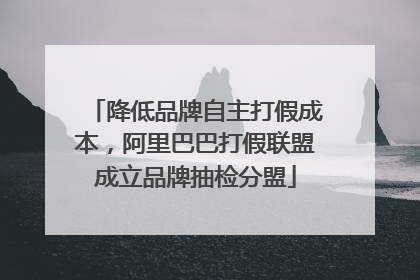 降低品牌自主打假成本，阿里巴巴打假联盟成立品牌抽检分盟