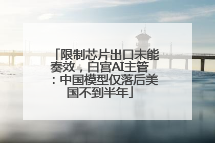 限制芯片出口未能奏效，白宫AI主管：中国模型仅落后美国不到半年