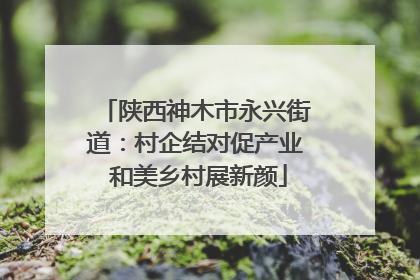 陕西神木市永兴街道：村企结对促产业 和美乡村展新颜