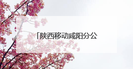 陕西移动咸阳分公司筑牢网络安全防线守护人民数字生活