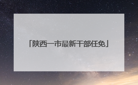 陕西一市最新干部任免