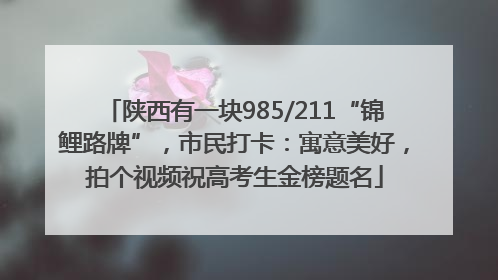 陕西有一块985/211“锦鲤路牌”，市民打卡：寓意美好，拍个视频祝高考生金榜题名