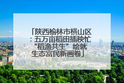 陕西榆林市横山区：五万亩稻田插秧忙 “稻渔共生”绘就生态富民新画卷