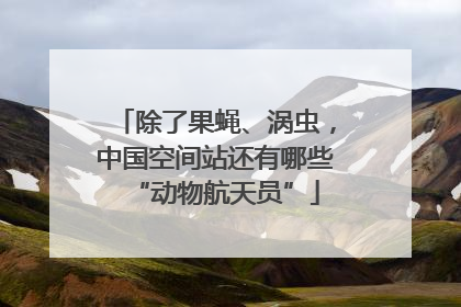 除了果蝇、涡虫，中国空间站还有哪些“动物航天员”
