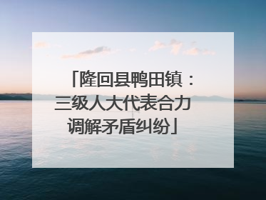 隆回县鸭田镇：三级人大代表合力调解矛盾纠纷