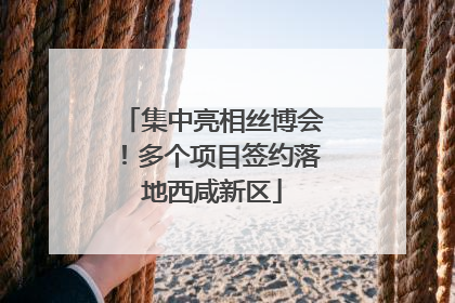 集中亮相丝博会！多个项目签约落地西咸新区