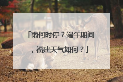 雨何时停？端午期间，福建天气如何？