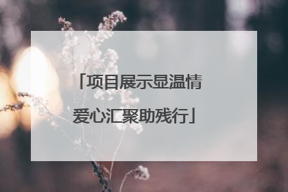 项目展示显温情 爱心汇聚助残行
