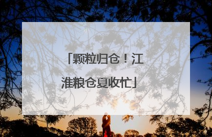 颗粒归仓！江淮粮仓夏收忙