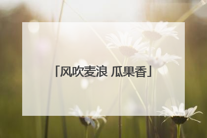风吹麦浪 瓜果香