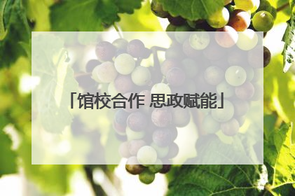 馆校合作 思政赋能