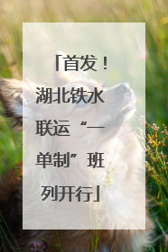 首发！湖北铁水联运“一单制”班列开行