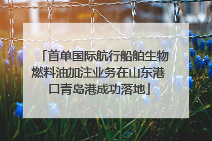 首单国际航行船舶生物燃料油加注业务在山东港口青岛港成功落地