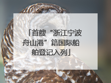 首艘“浙江宁波舟山港”籍国际船舶登记入列