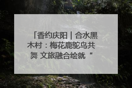 香约庆阳｜合水黑木村：梅花鹿鸵鸟共舞 文旅融合绘就“诗与远方”