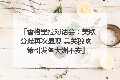 香格里拉对话会：美欧分歧再次显现 美关税政策引发各大洲不安