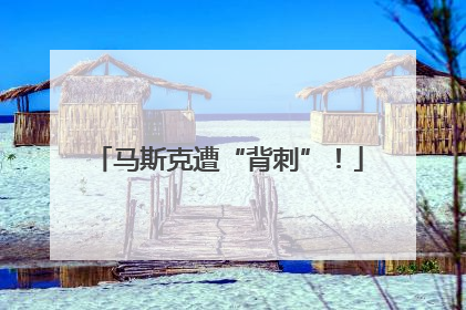 马斯克遭“背刺”！