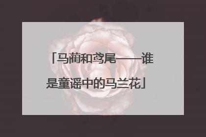 马蔺和鸢尾——谁是童谣中的马兰花