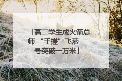 高二学生成火箭总师 “手搓”飞燕一号突破一万米