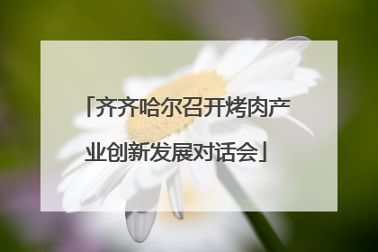 齐齐哈尔召开烤肉产业创新发展对话会