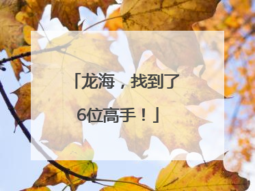 龙海，找到了6位高手！