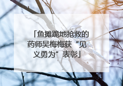 鱼摊跪地抢救的药师吴梅梅获“见义勇为”表彰