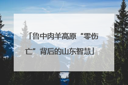 鲁中肉羊高原“零伤亡”背后的山东智慧