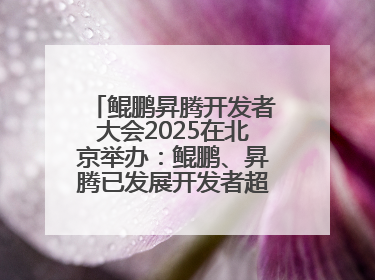 鲲鹏昇腾开发者大会2025在北京举办：鲲鹏、昇腾已发展开发者超665万