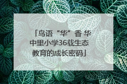 鸟语“华”香 华中里小学36载生态教育的成长密码