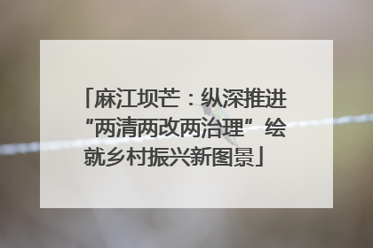 麻江坝芒：纵深推进“两清两改两治理”绘就乡村振兴新图景