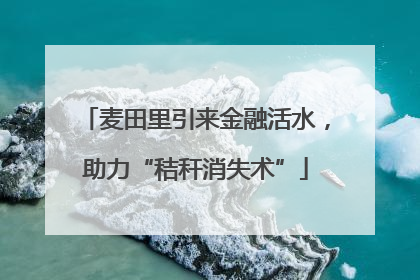 麦田里引来金融活水，助力“秸秆消失术”