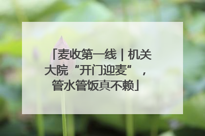 麦收第一线｜机关大院“开门迎麦”，管水管饭真不赖