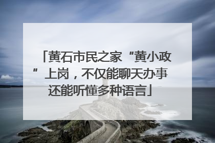 黄石市民之家“黄小政”上岗，不仅能聊天办事还能听懂多种语言