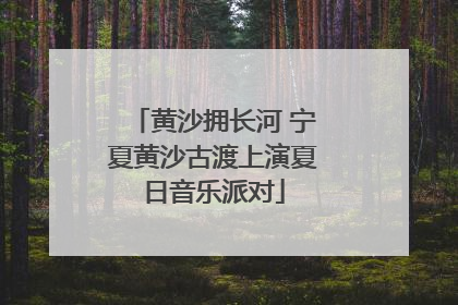 黄沙拥长河 宁夏黄沙古渡上演夏日音乐派对