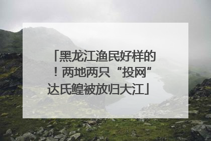 黑龙江渔民好样的！两地两只“投网”达氏鳇被放归大江