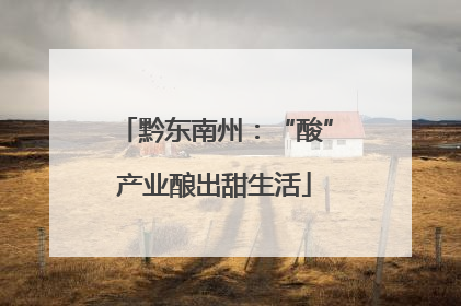 黔东南州：“酸”产业酿出甜生活