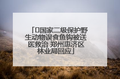 ﻿国家二级保护野生动物误食鱼钩被送医救治 郑州惠济区林业局回应
