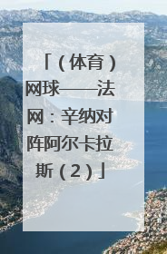 （体育）网球——法网：辛纳对阵阿尔卡拉斯（2）