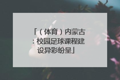 （体育）内蒙古：校园足球课程建设异彩纷呈