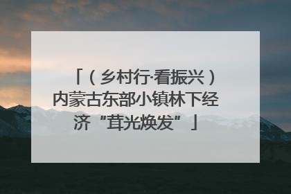 (乡村行·看振兴)内蒙古东部小镇林下经济“茸光焕发”