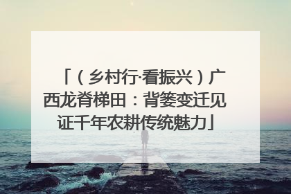 （乡村行·看振兴）广西龙脊梯田：背篓变迁见证千年农耕传统魅力