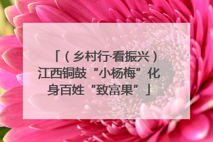 （乡村行·看振兴）江西铜鼓“小杨梅”化身百姓“致富果”