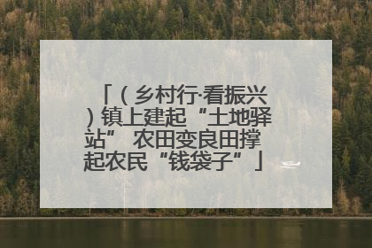 （乡村行·看振兴）镇上建起“土地驿站” 农田变良田撑起农民“钱袋子”