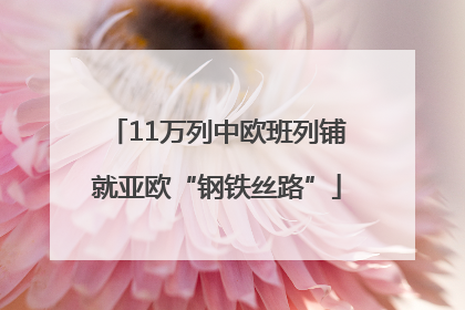 11万列中欧班列铺就亚欧“钢铁丝路”