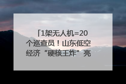 1架无人机=20个巡查员！山东低空经济“硬核王炸”亮相青岛，下一个万亿赛道藏在这里