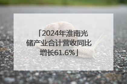2024年淮南光储产业合计营收同比增长61.6%