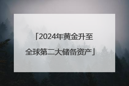 2024年黄金升至全球第二大储备资产