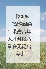 2025“双湾融合”港澳青年人才对接活动在无锡启幕