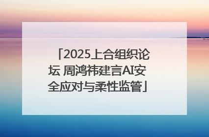 2025上合组织论坛 周鸿祎建言AI安全应对与柔性监管