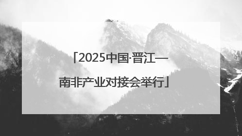 2025中国·晋江—南非产业对接会举行